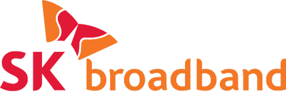 SK broadband